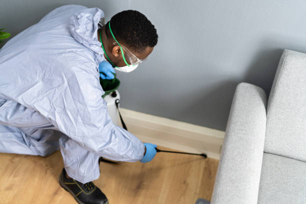 Professional Pest Control in Enumclaw, WA